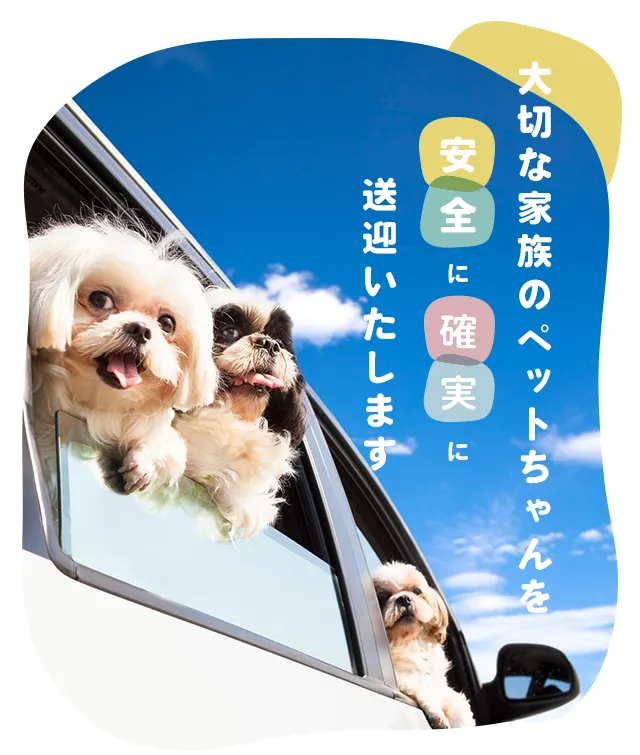 大切な家族のペットちゃんを安全に各実に送迎いたします